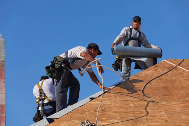 Best Metal Roofing Contractor  in Perry, OH