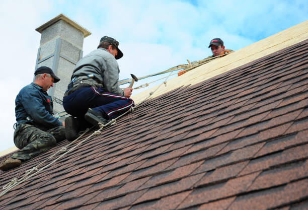 Best Roof Repair Services  in Perry, OH