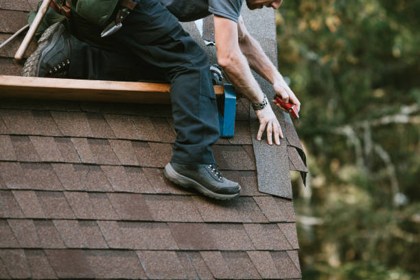 Best Roof Maintenance Services  in Perry, OH